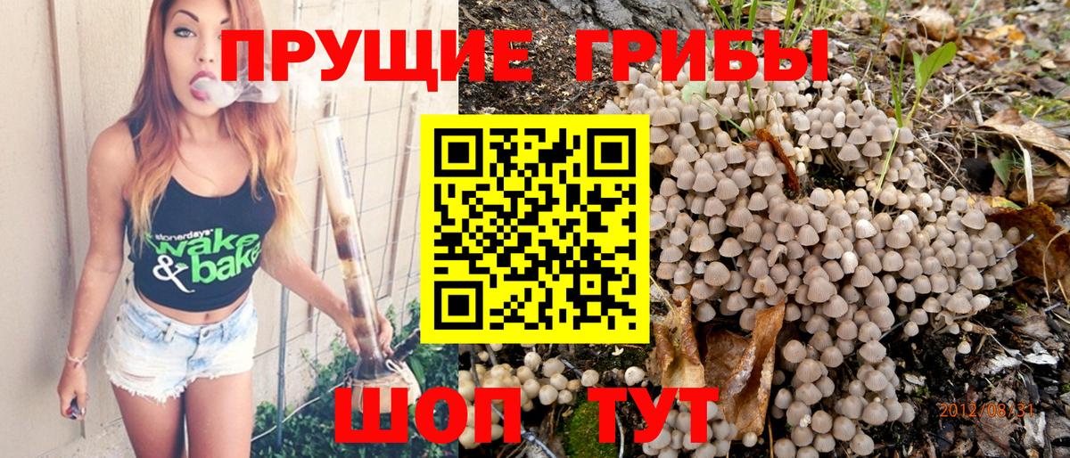 Галлюциногенные грибы прущие грибы Ялта